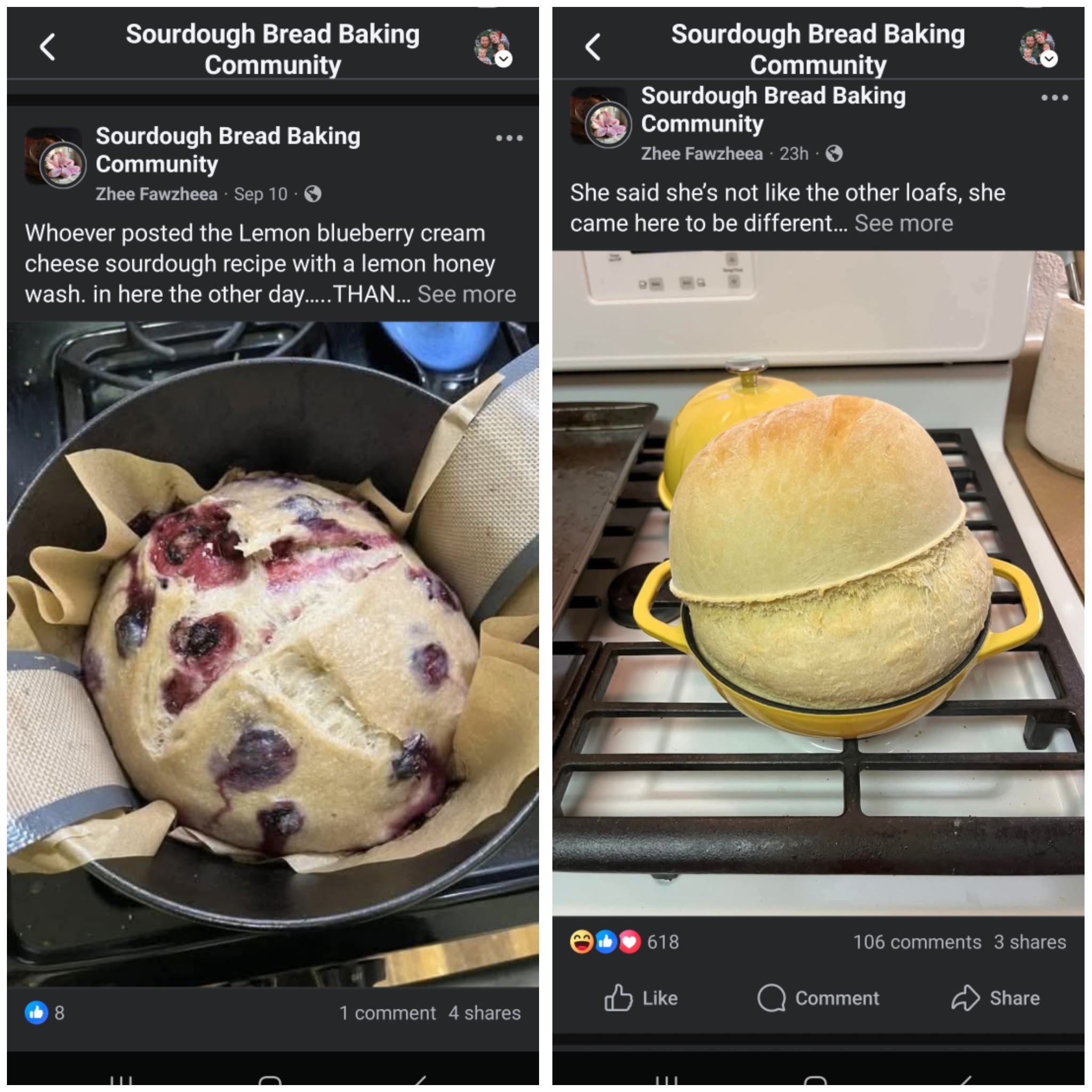 Sourdough Bread Baking Community | Zhee Fawzheea steals posts and ...