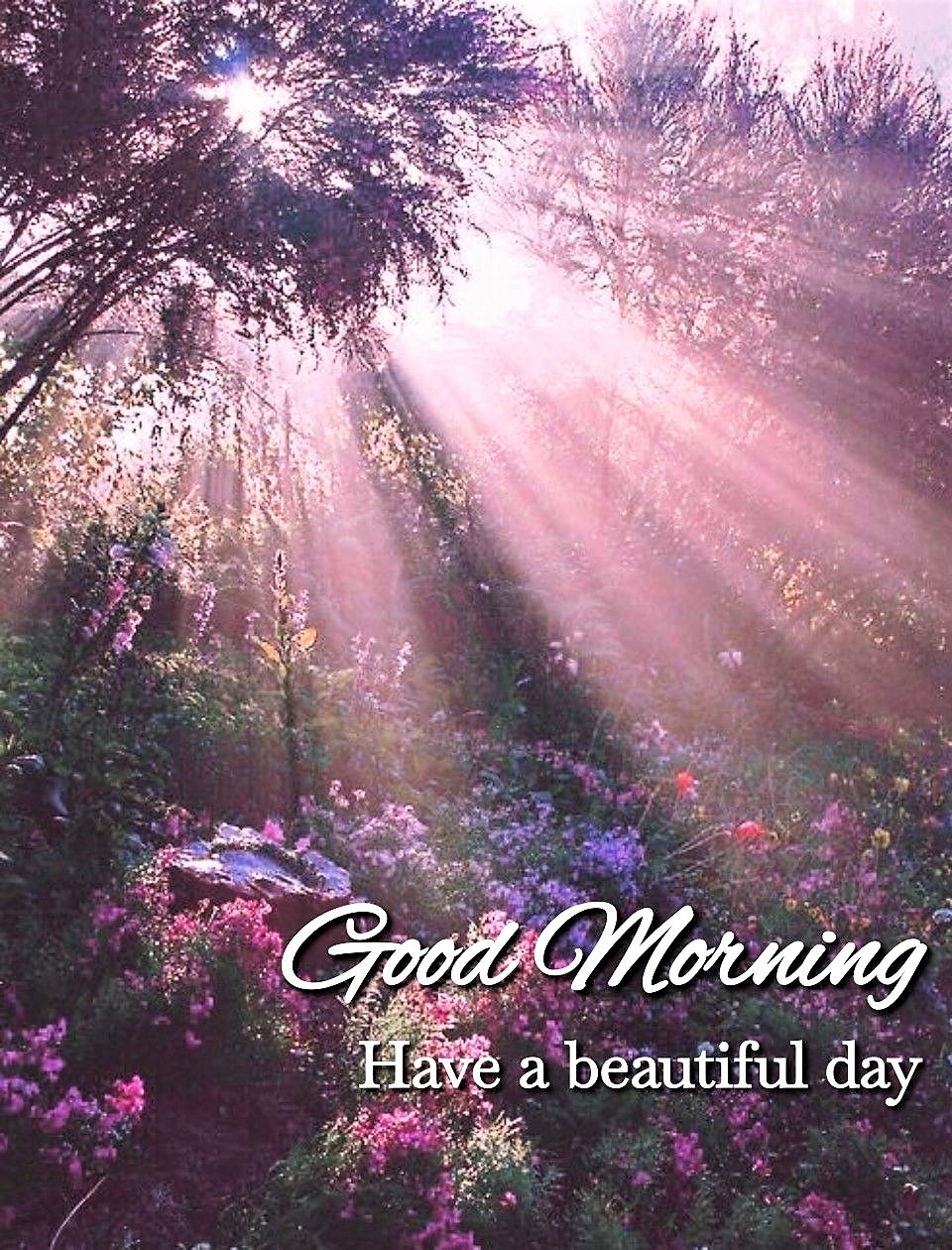 Happy new week everyone! 🌷🎶🌸 “Doubt... - Buddha Bless You