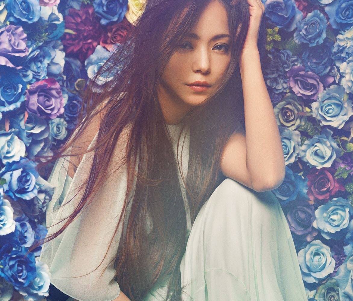 Namie Amuro Photobooks 2018 Final Tour 'Finally' Pamphlet Never