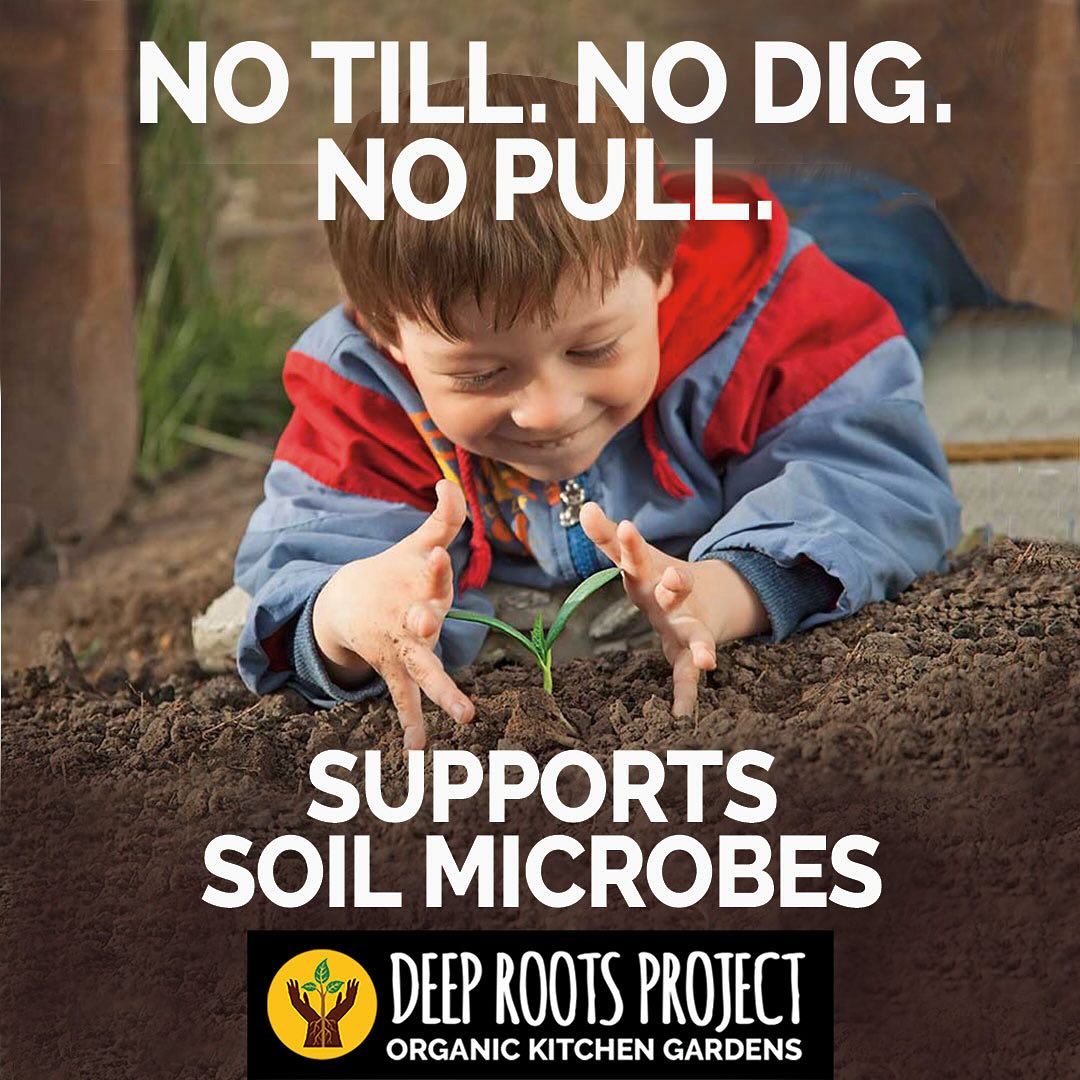 At Deep Roots Project, we use the... - The Deep Roots Project | Facebook