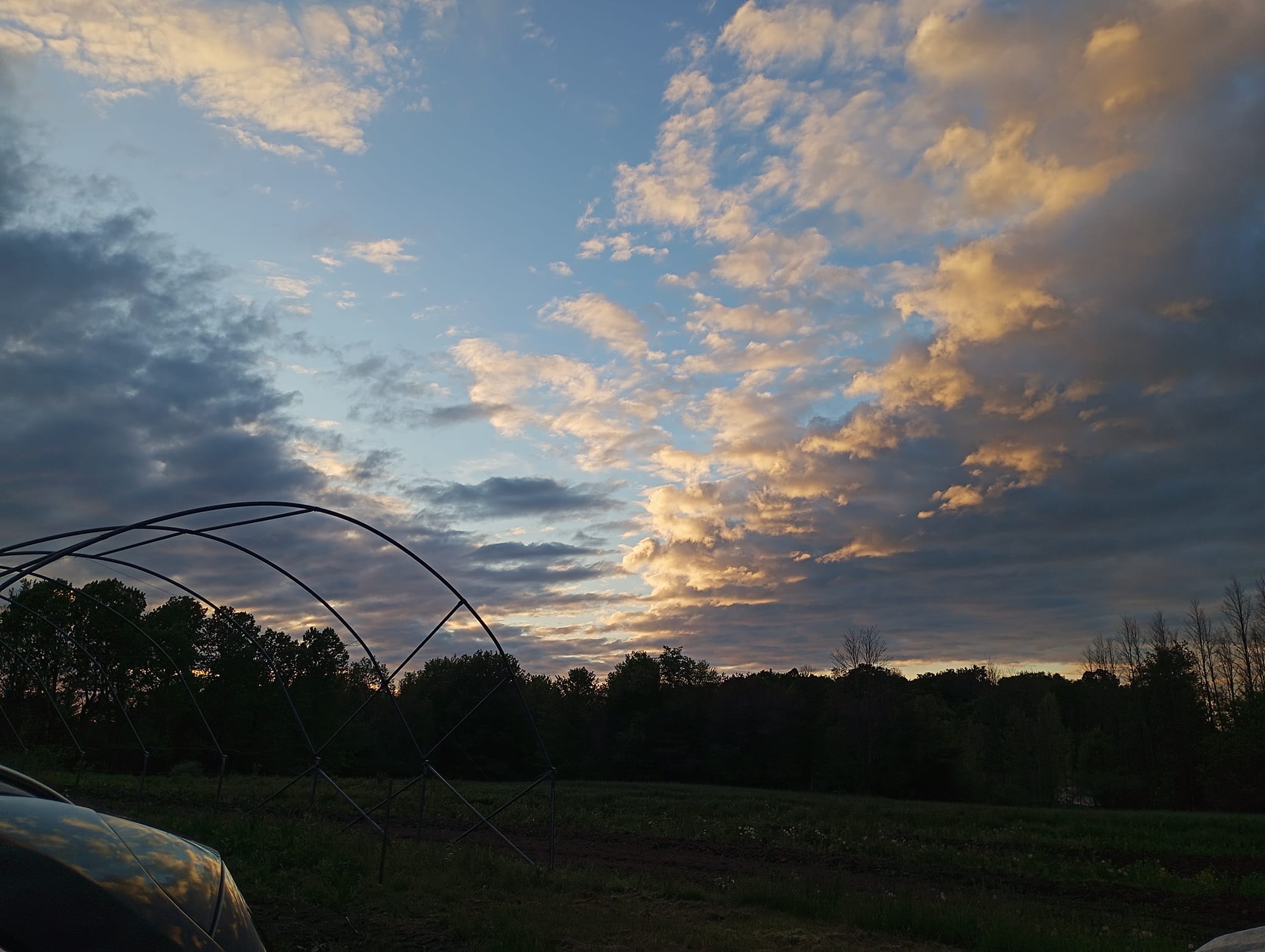 Freedom Rains Farm | Pulaski NY
