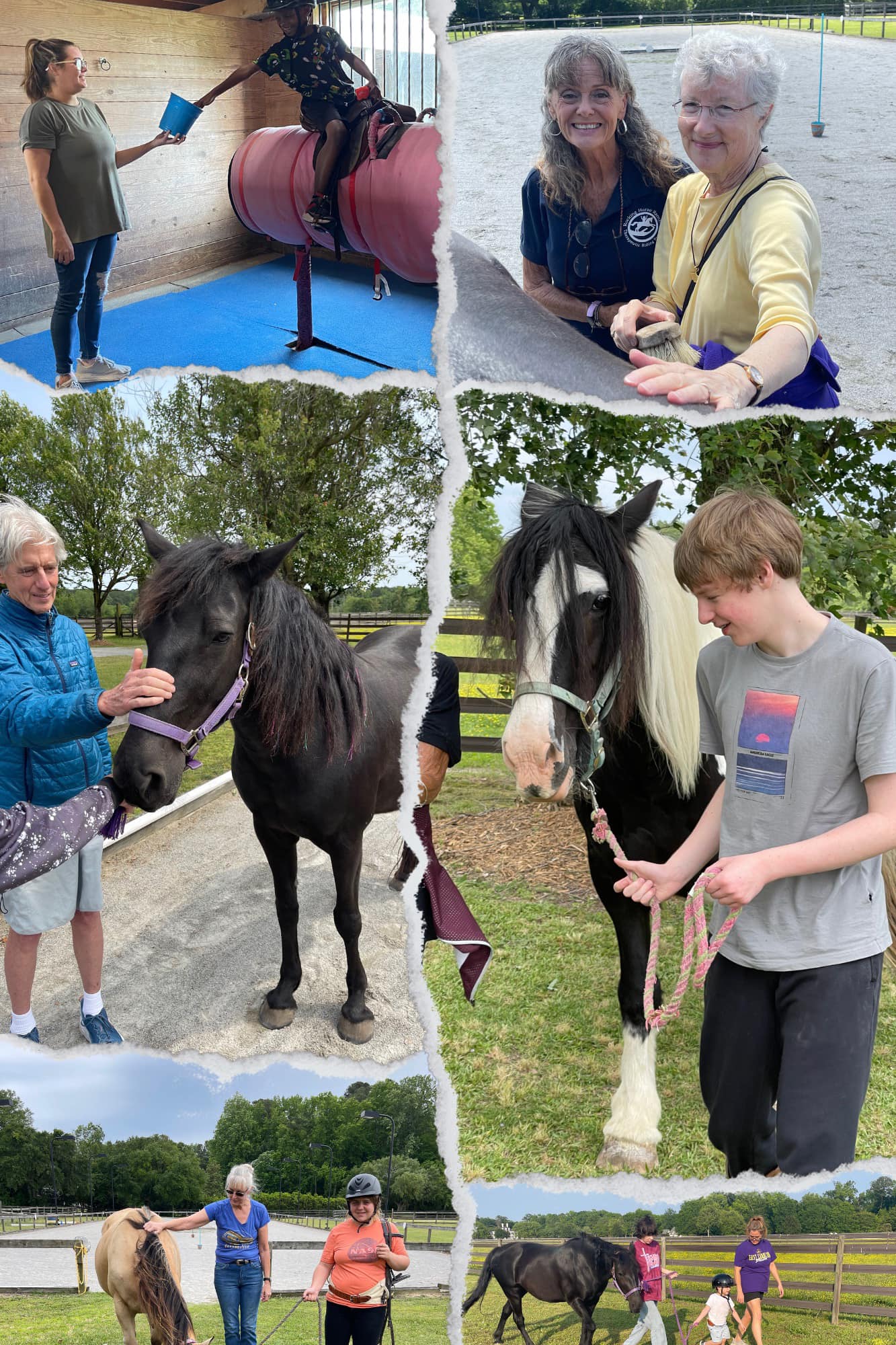 The... - Rocking Horse Ranch Therapeutic Riding Program