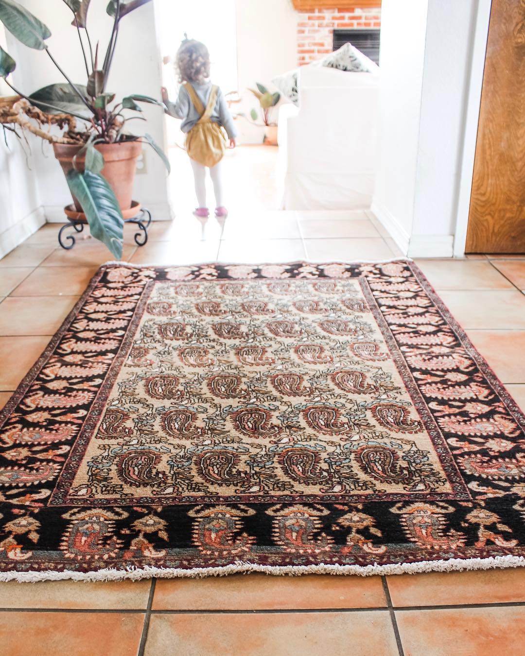 Old World Rugs | San Luis Obispo CA