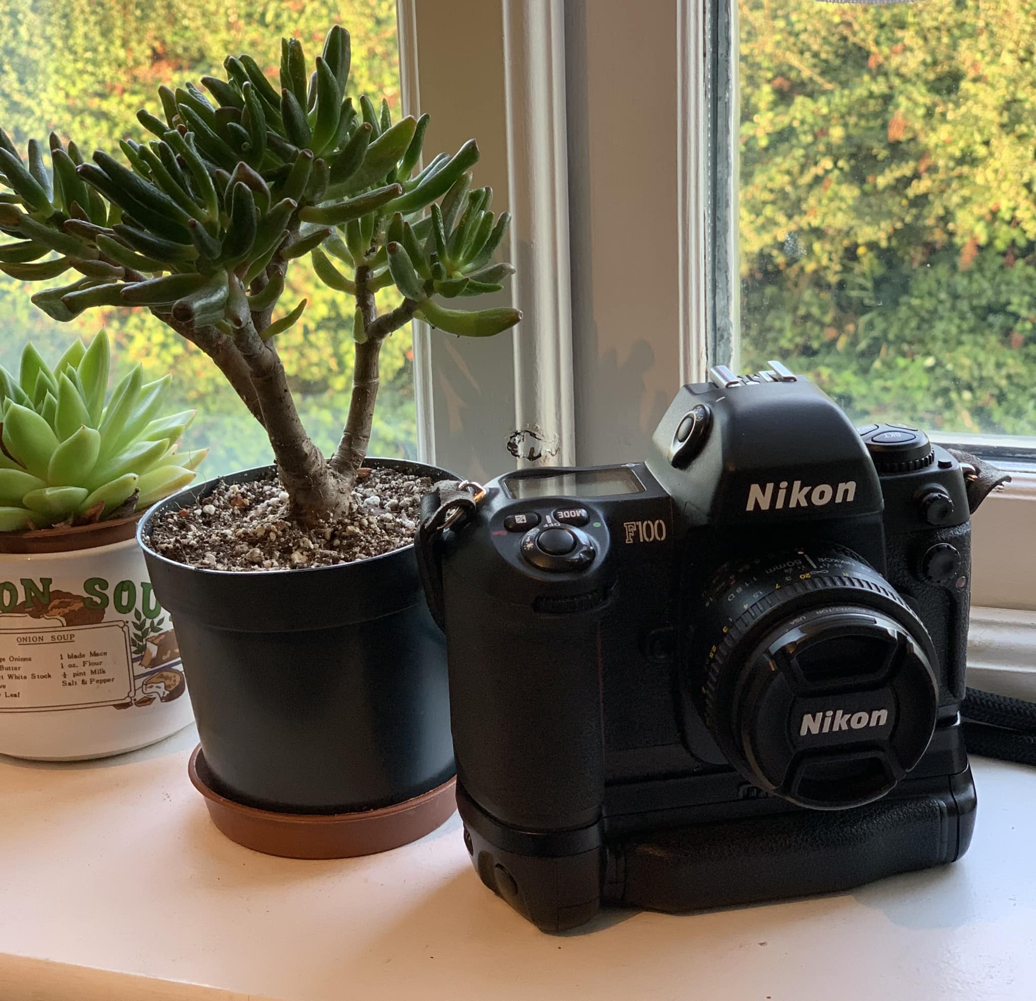 Does anyone have a Nikon F100? I'd love to see some pictures taken