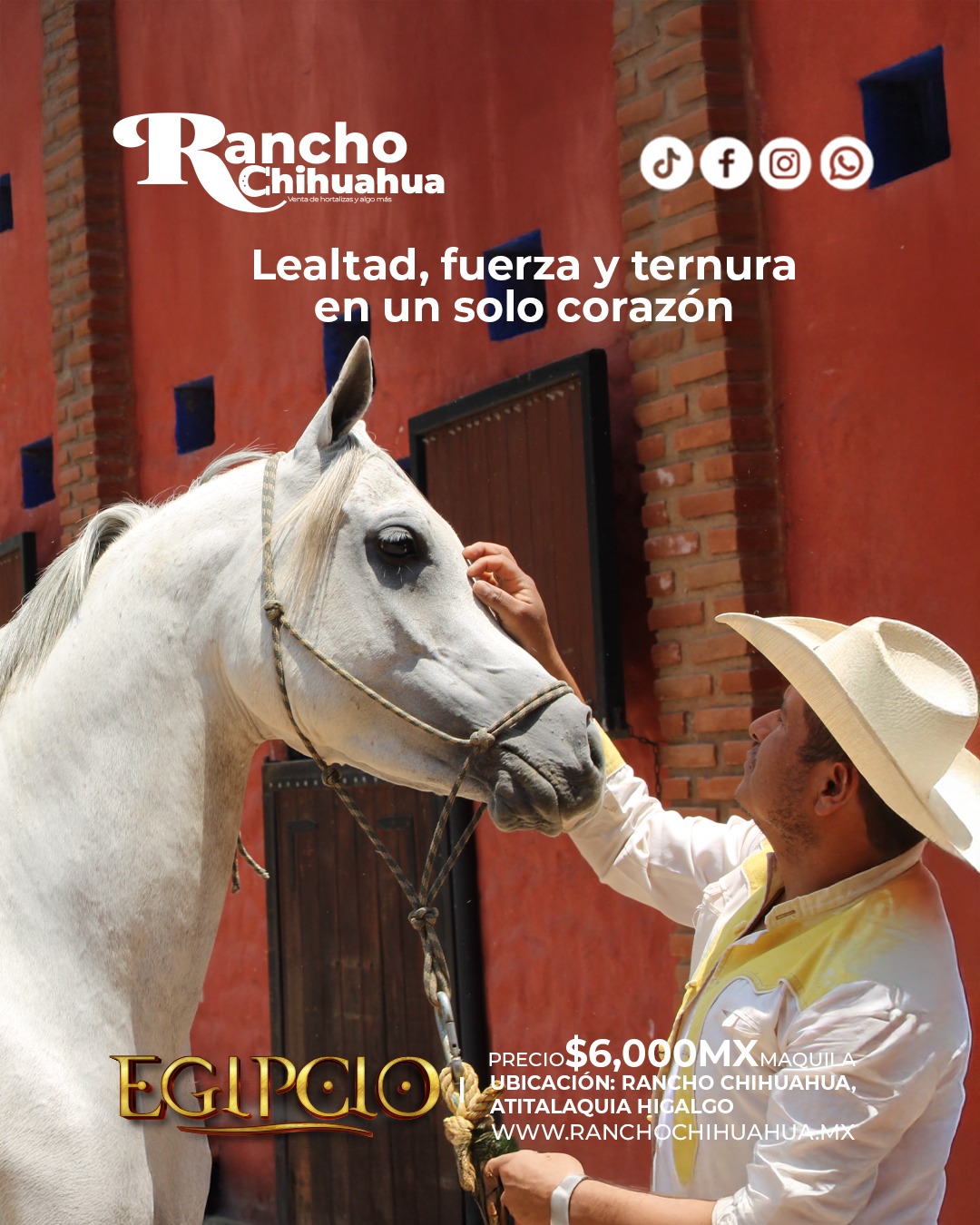 Rancho Chihuahua | Atitalaquia