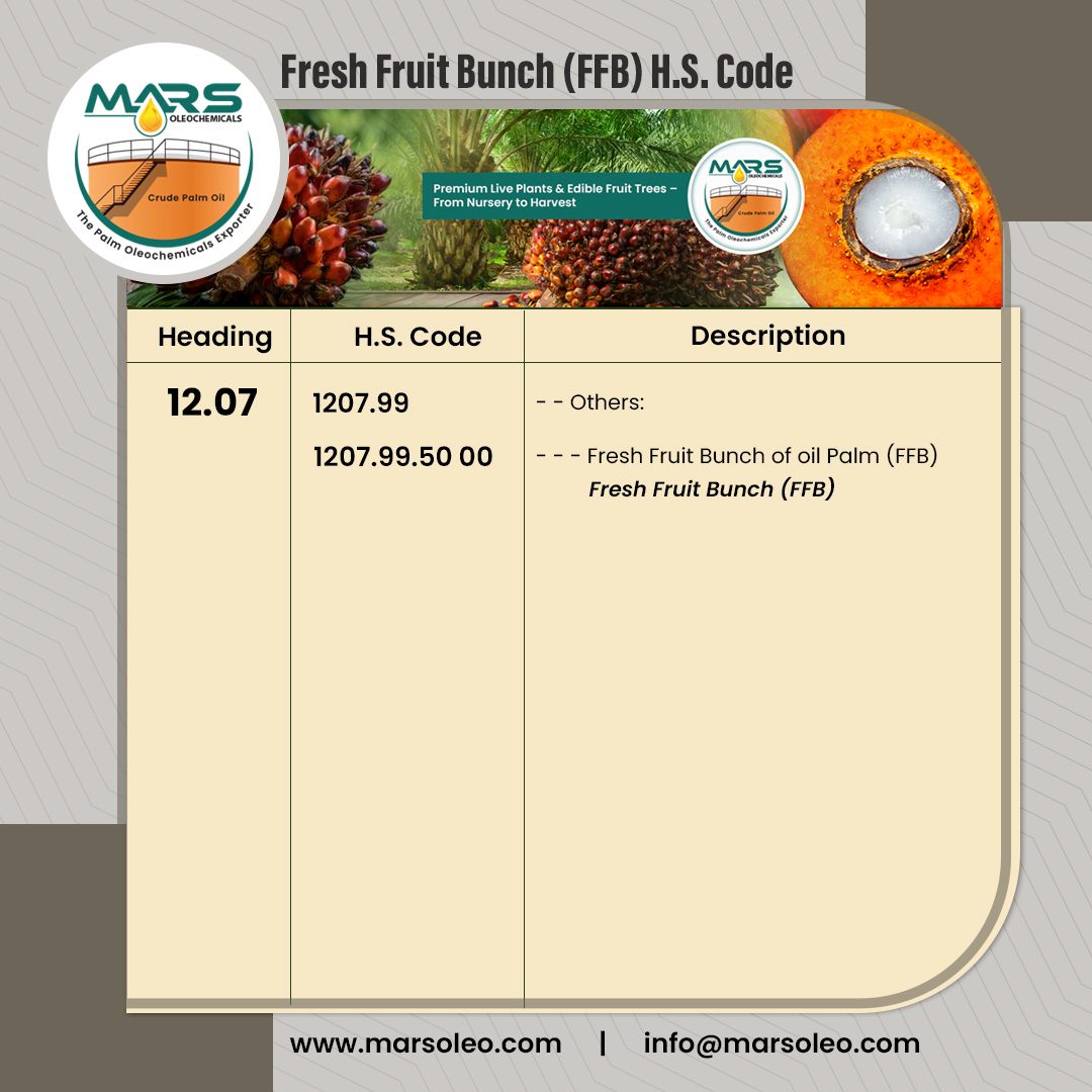 Mars Oleochemicals Malaysia | Kuala Lumpur