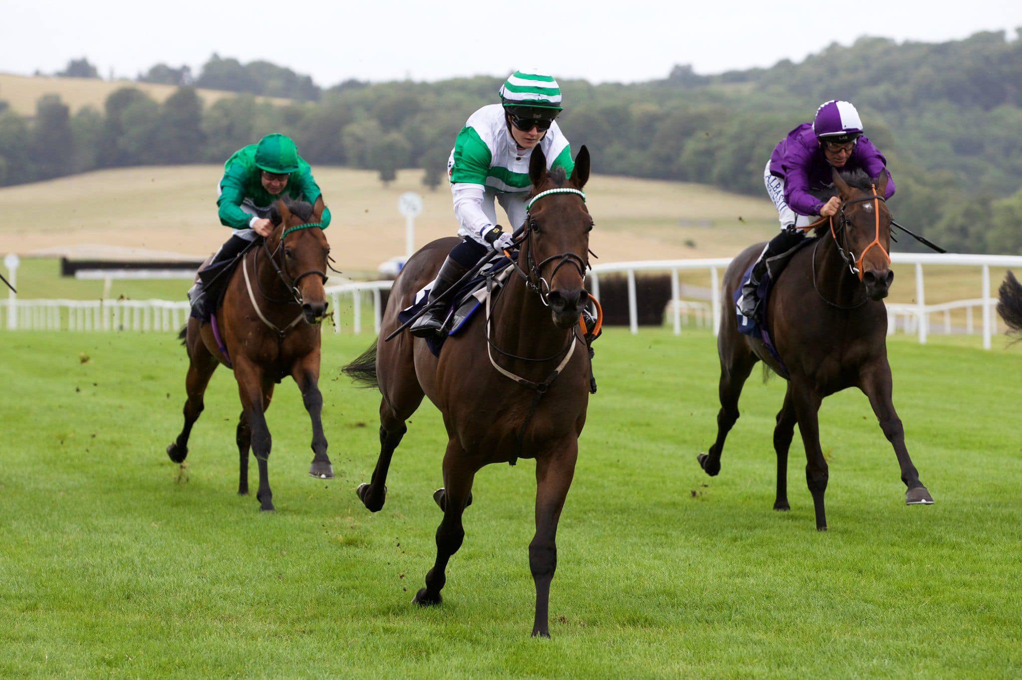 ⭐️GLADLY EVER AFTER⭐️ wins... - Archie Watson Racing