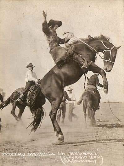 The lady could... - Blue Sky Ranch Equestrian Center LLC | Facebook