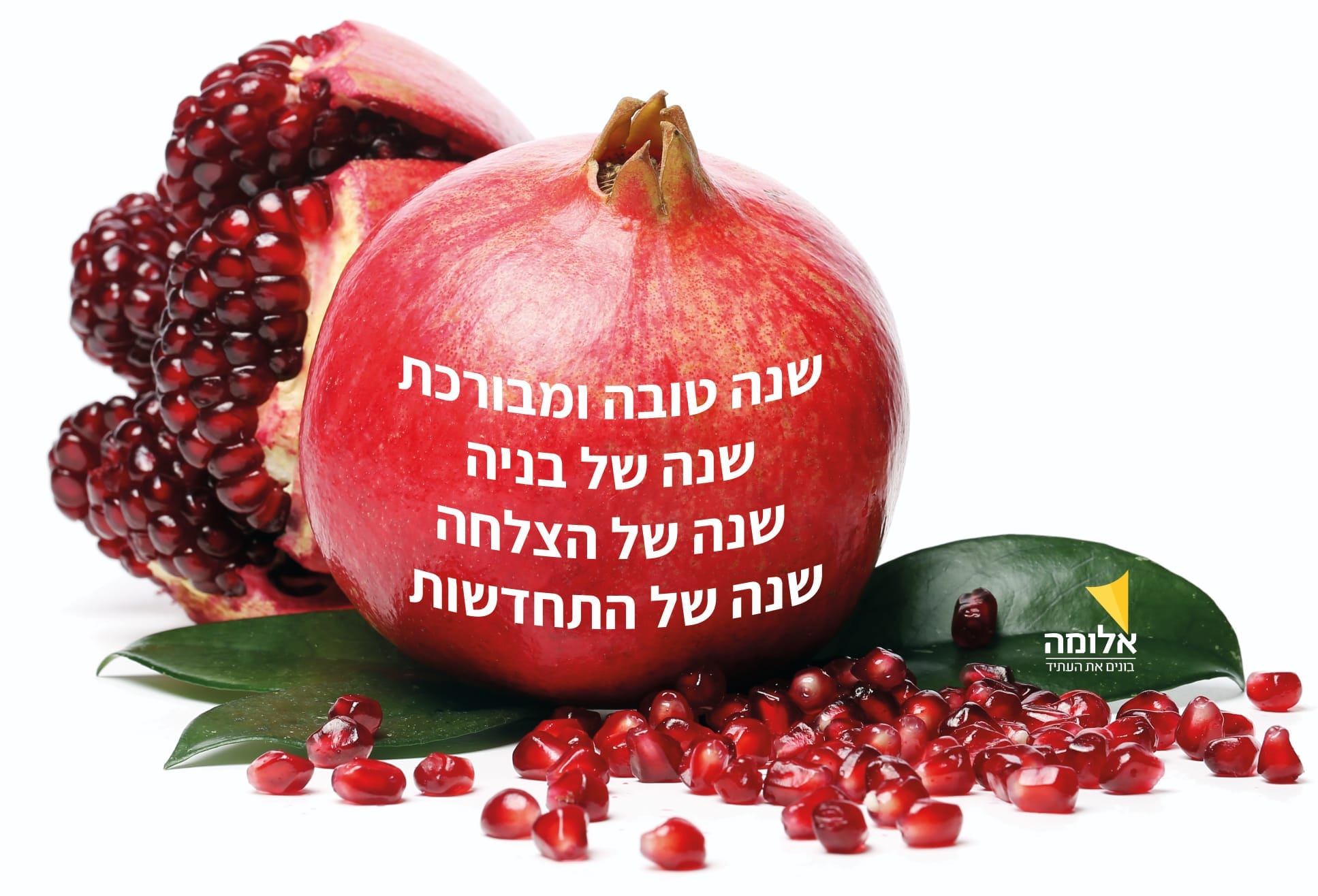 אלומה בונים את העתיד
