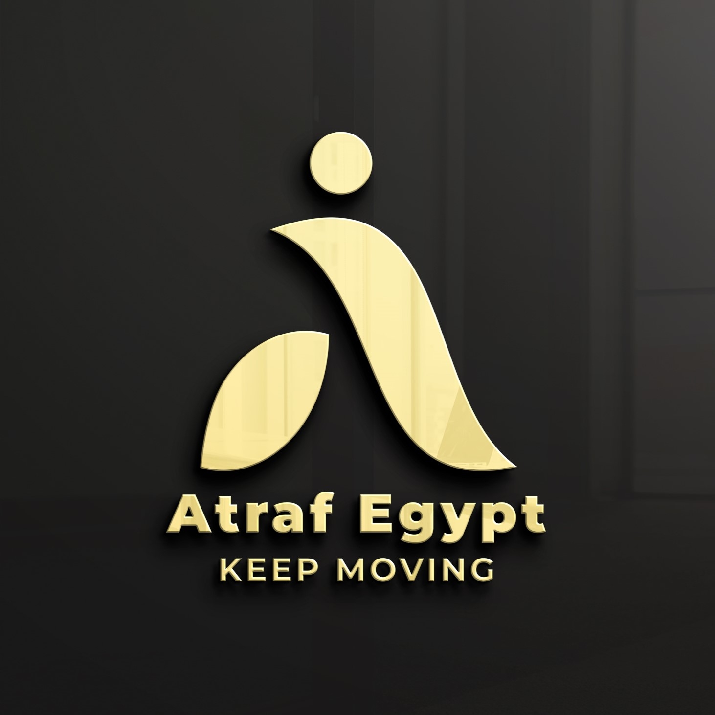 ALEX REHAB اجهزة تعويضية اطراف صناعية الاحدث والارقي بالشرق الاوسط 164 ...