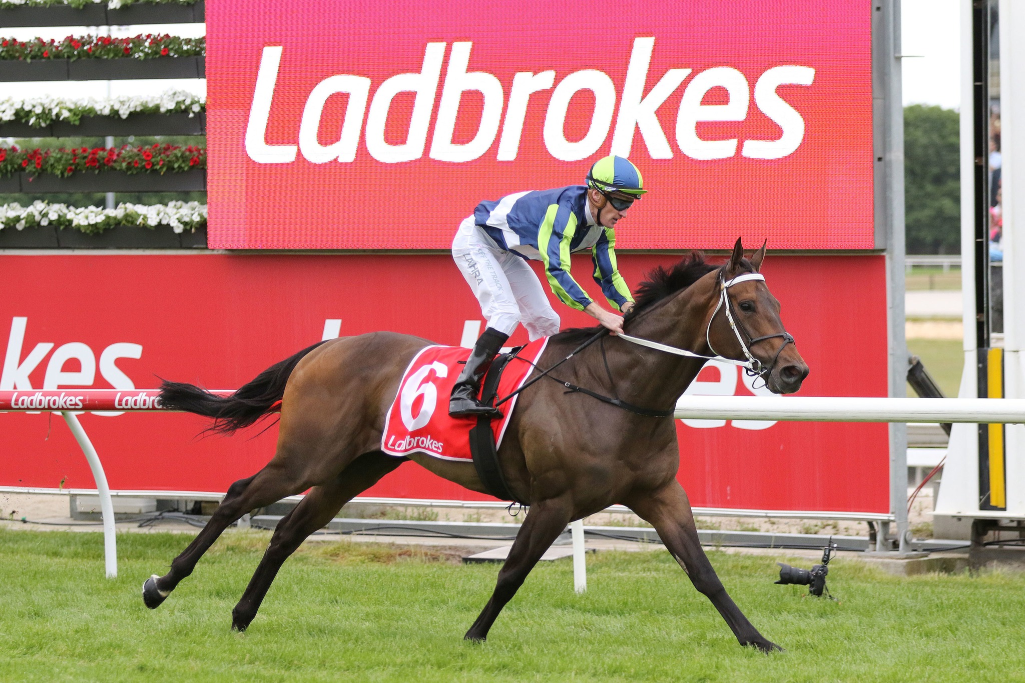Busuttin Racing | Cranbourne VIC