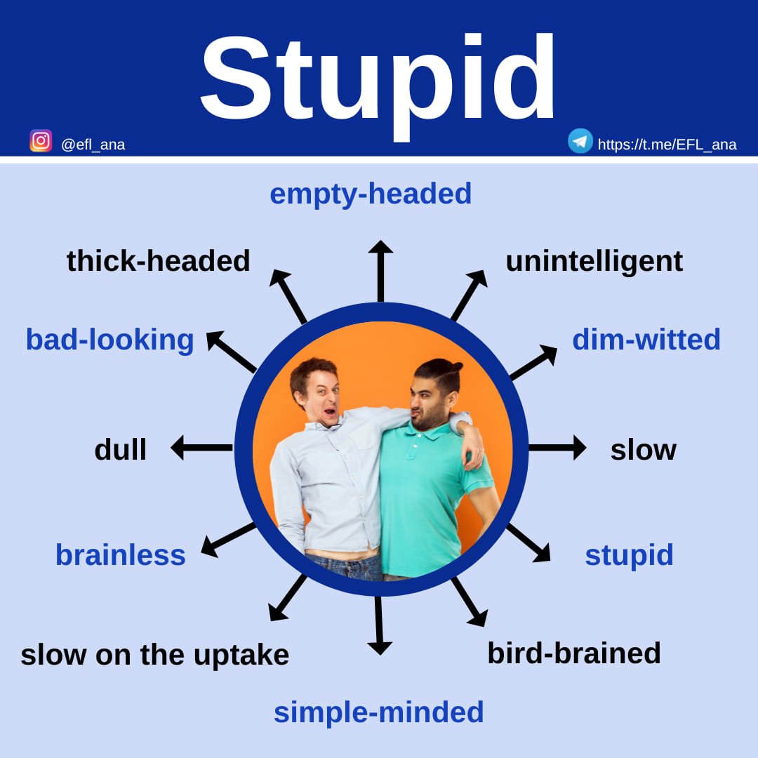 Ana - Today's post contains some words meaning STUPID in English. #EFL ...