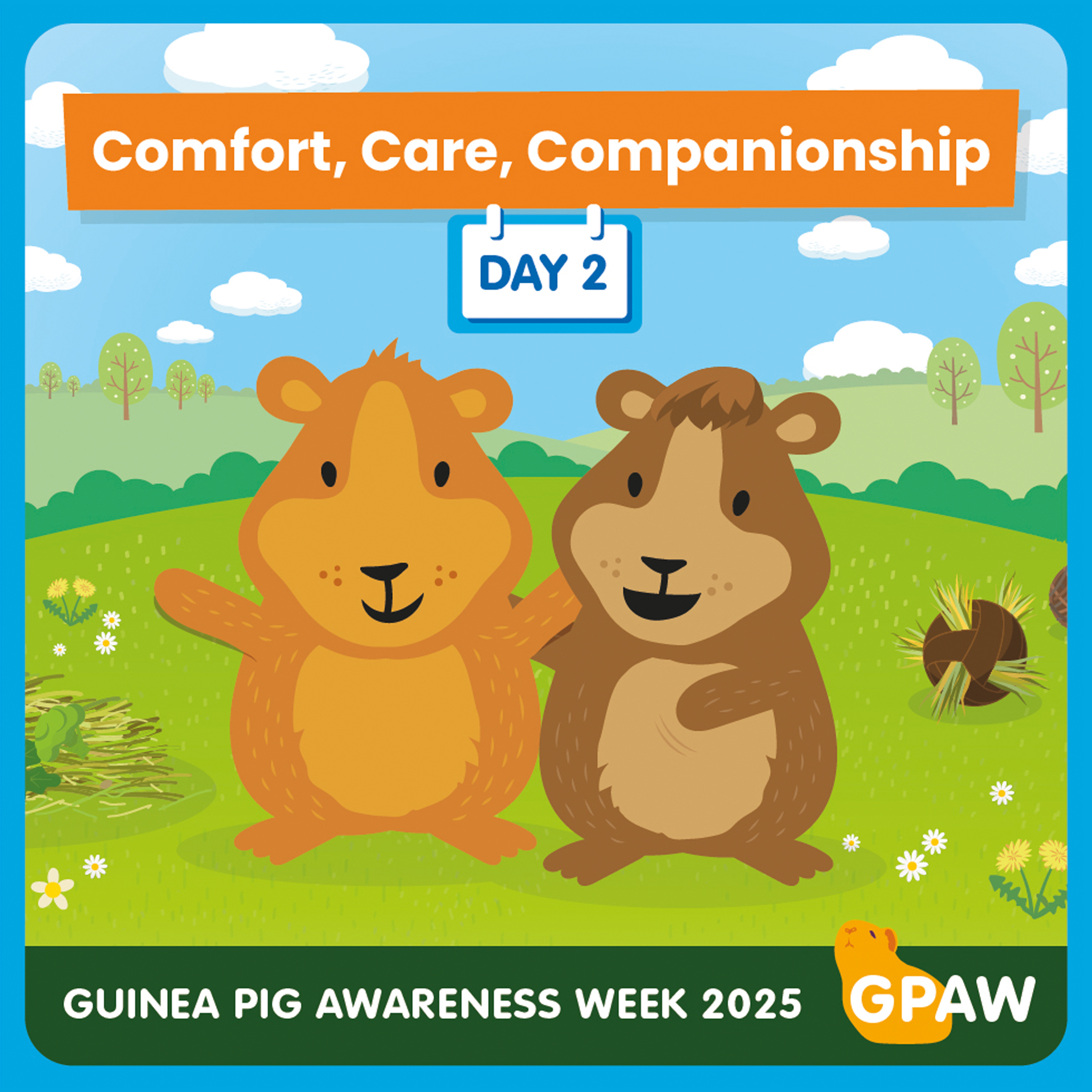 Photo inspiration: Visual Reference: Vets4Pets Day 2 Companionship It S Day 2 Of Guinea