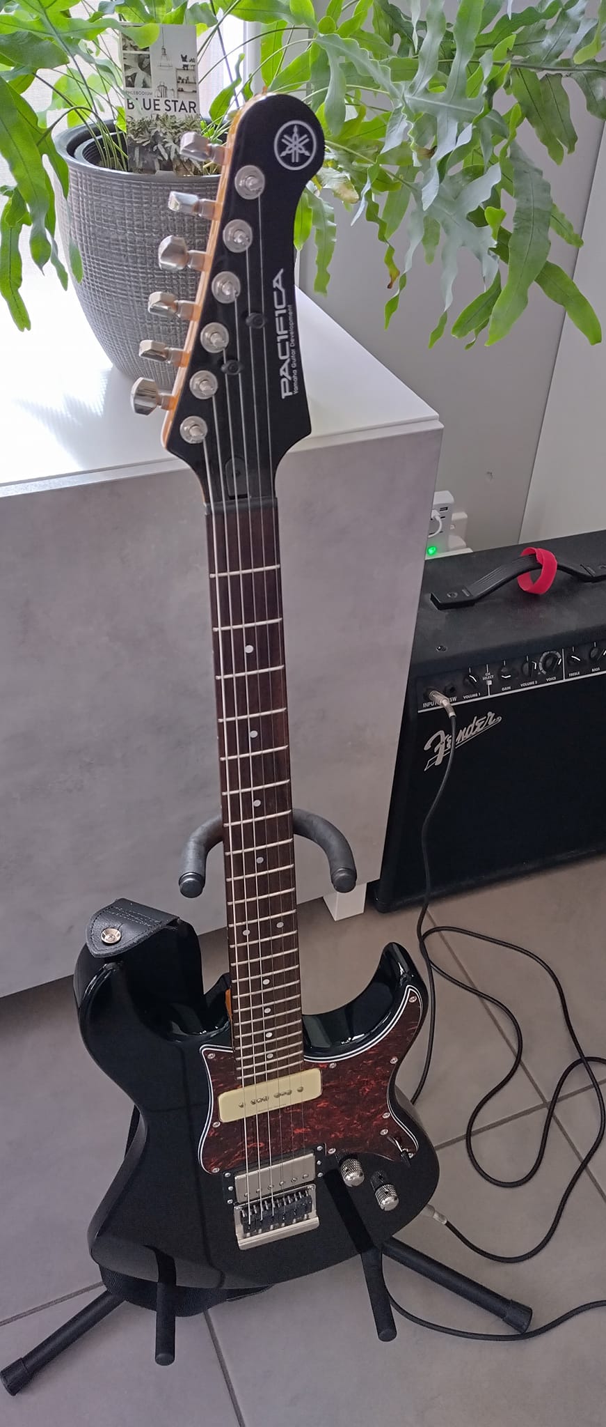 Yamaha Pacifica 921 guitar purchase and user experiences