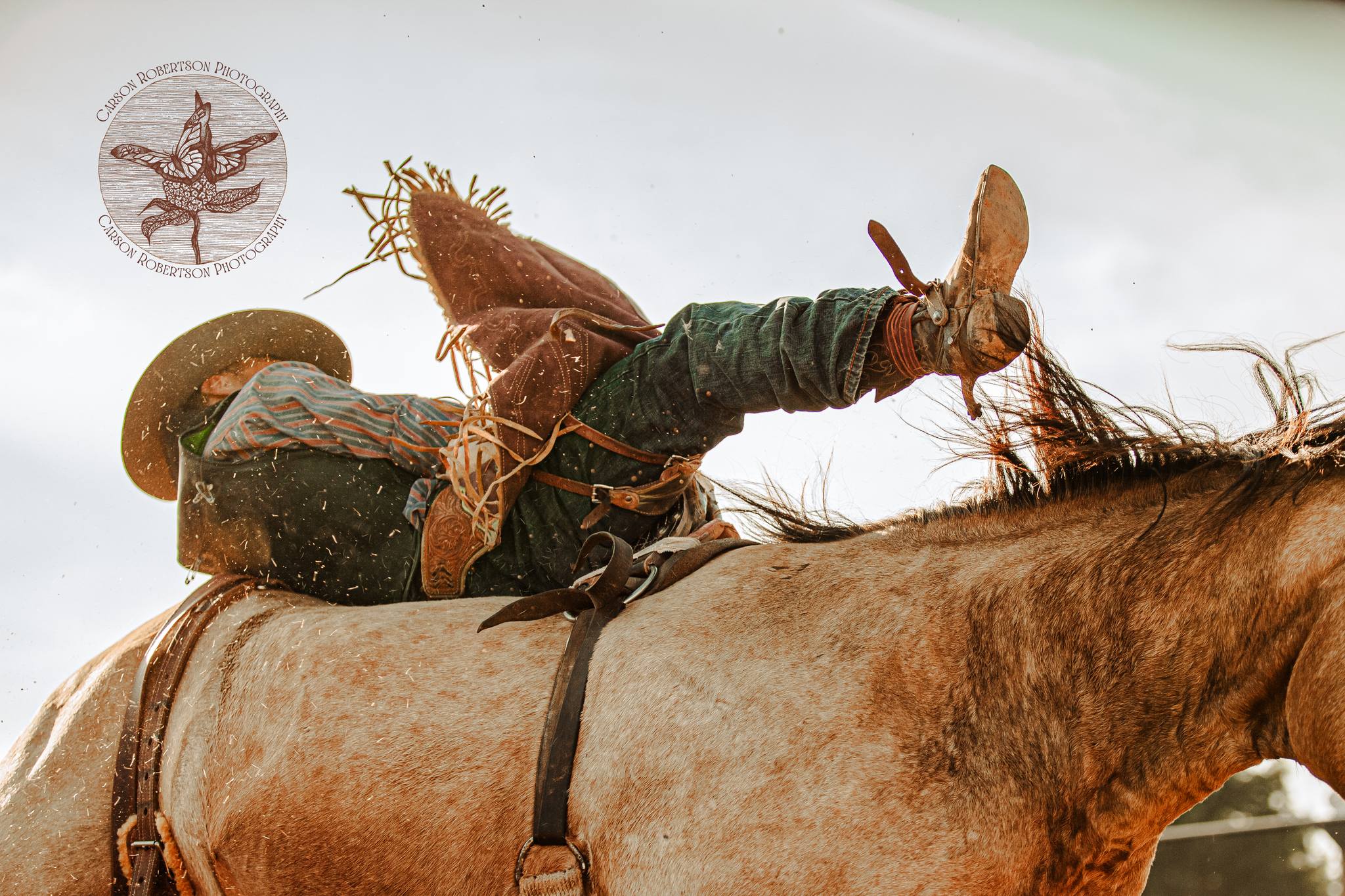 Carson - PHOTOS FROM MARNE ARE DONE! https://carsonrobertsonphotography ...