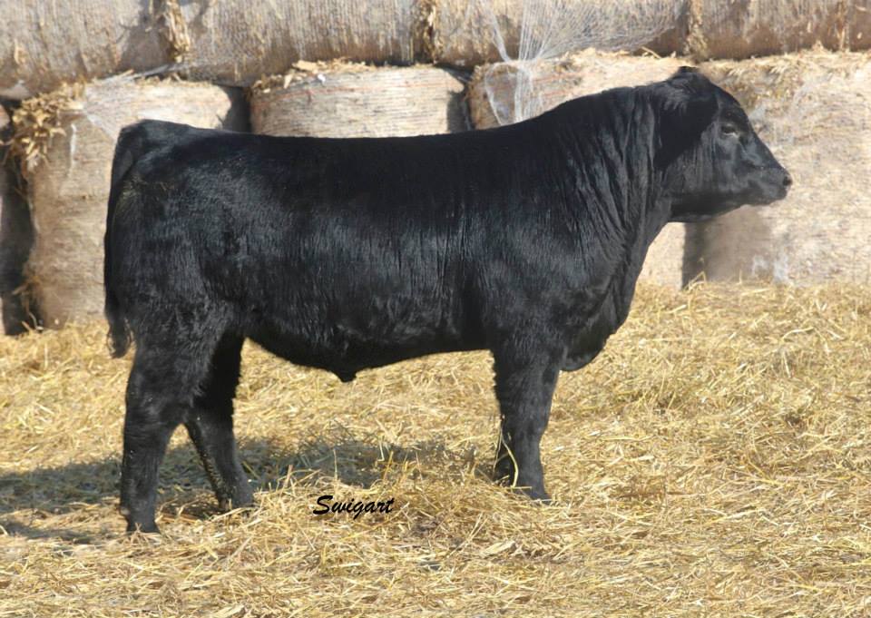 Rock River Ranch | Mount Morris IL
