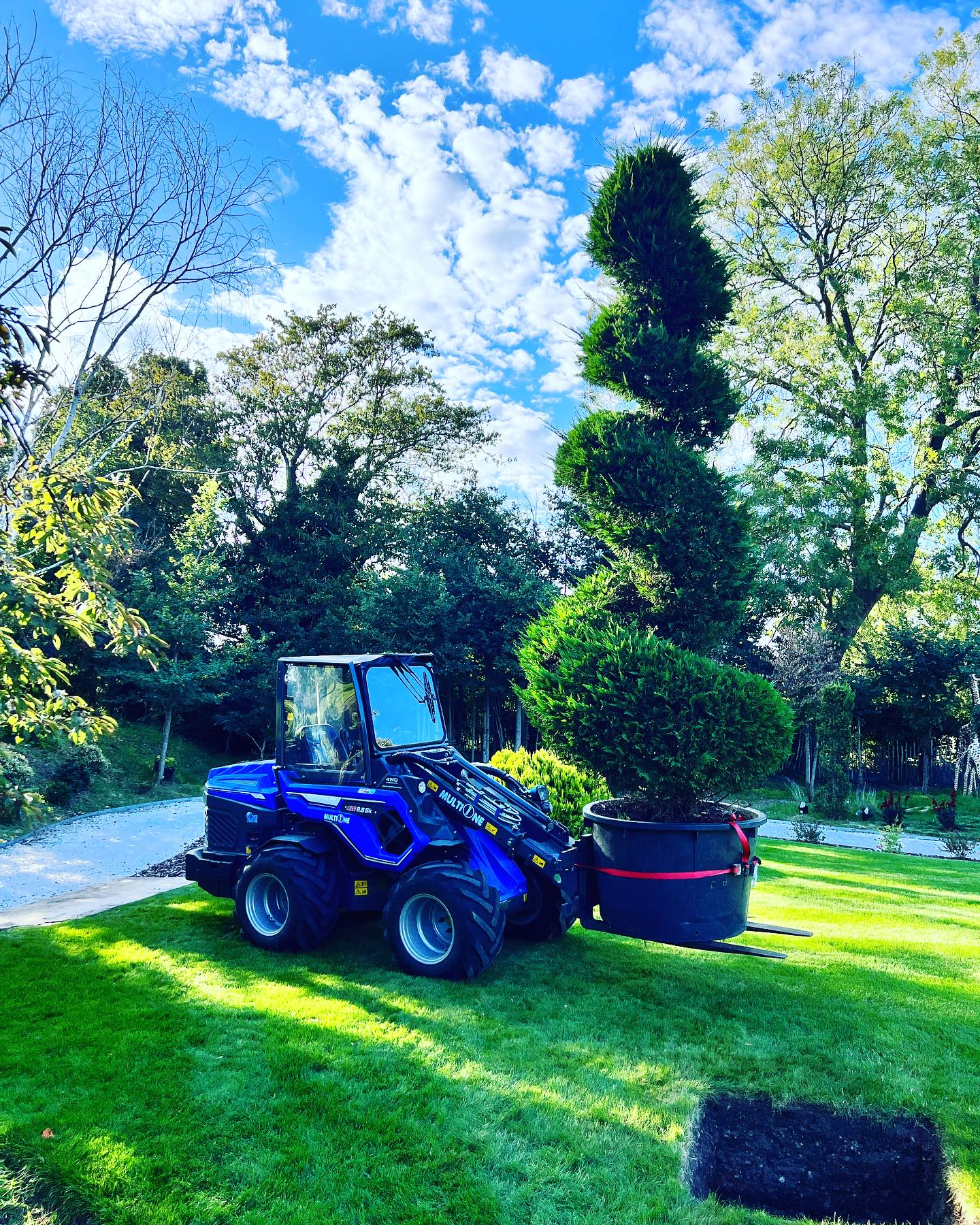 GPC Tree Surgeons | London