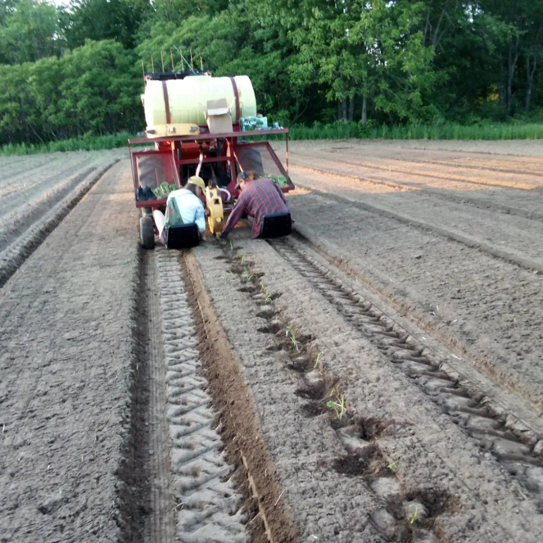 Freedom Rains Farm | Pulaski NY