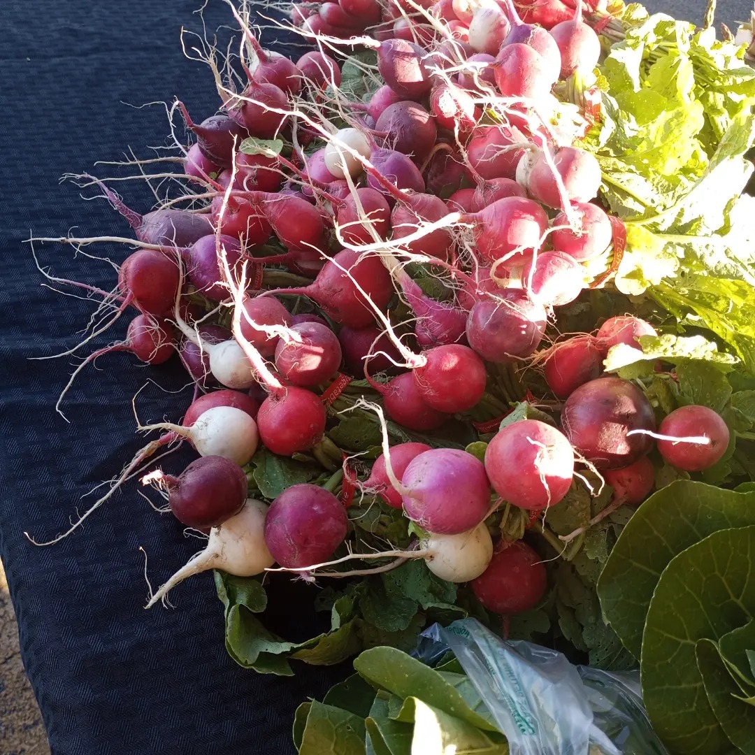 Freedom Rains Farm | Pulaski NY