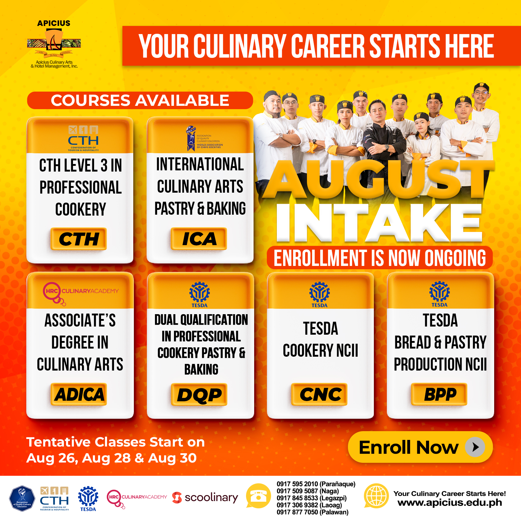 🚨 Your Culinary Career Starts... - Apicius Culinary Arts | Facebook
