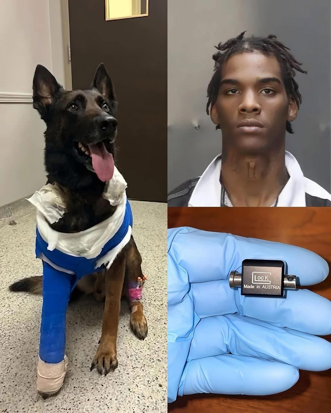 Sebastian - Darrin King, an 18-year-old from Texas, made national ...