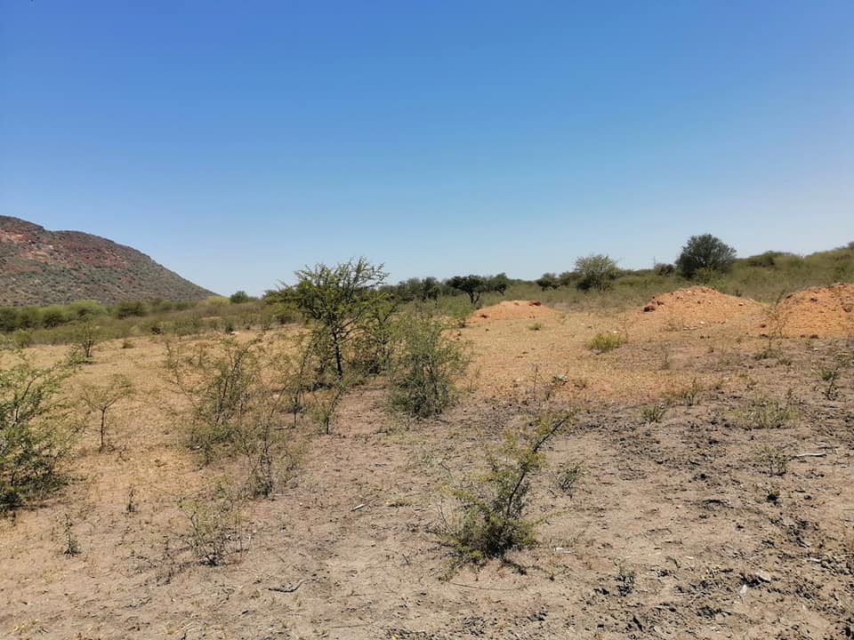 Maun advertisement and notice board | Modipane Field For Sale | Facebook