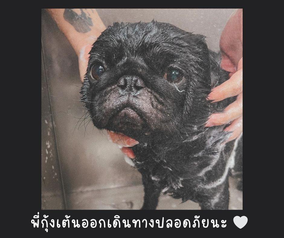 สบายตัว - “เดินทางปลอดภัยนะพี่กุ้งเต้น 🤍” หากย้อนไปช่วงแรกๆ ที่พี่ช่าง ...