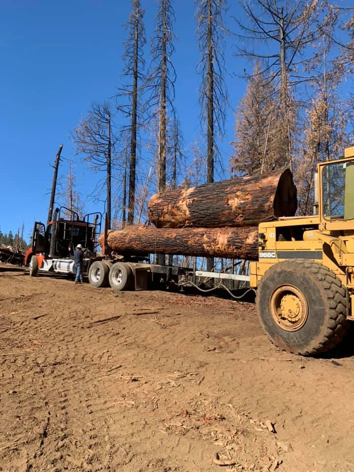 Happy hump day 🐪 Good looking load... - Trujillo Logging | Facebook
