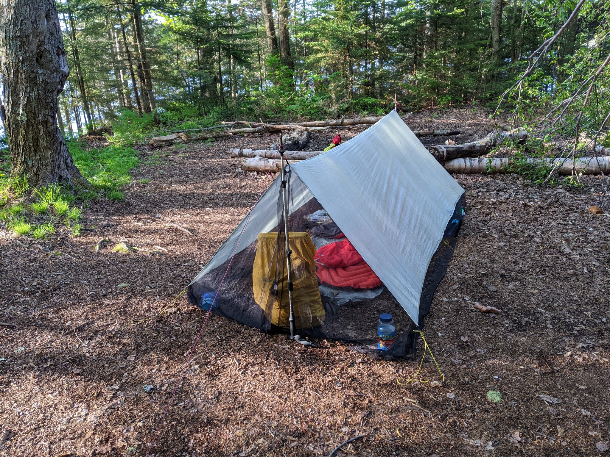kifaru tarp SuperTarp Größe:74 - 80 The Kifaru Sheep Tarp Luft- & wasserdurchlässiges Sonnensegel Tarps and Mats