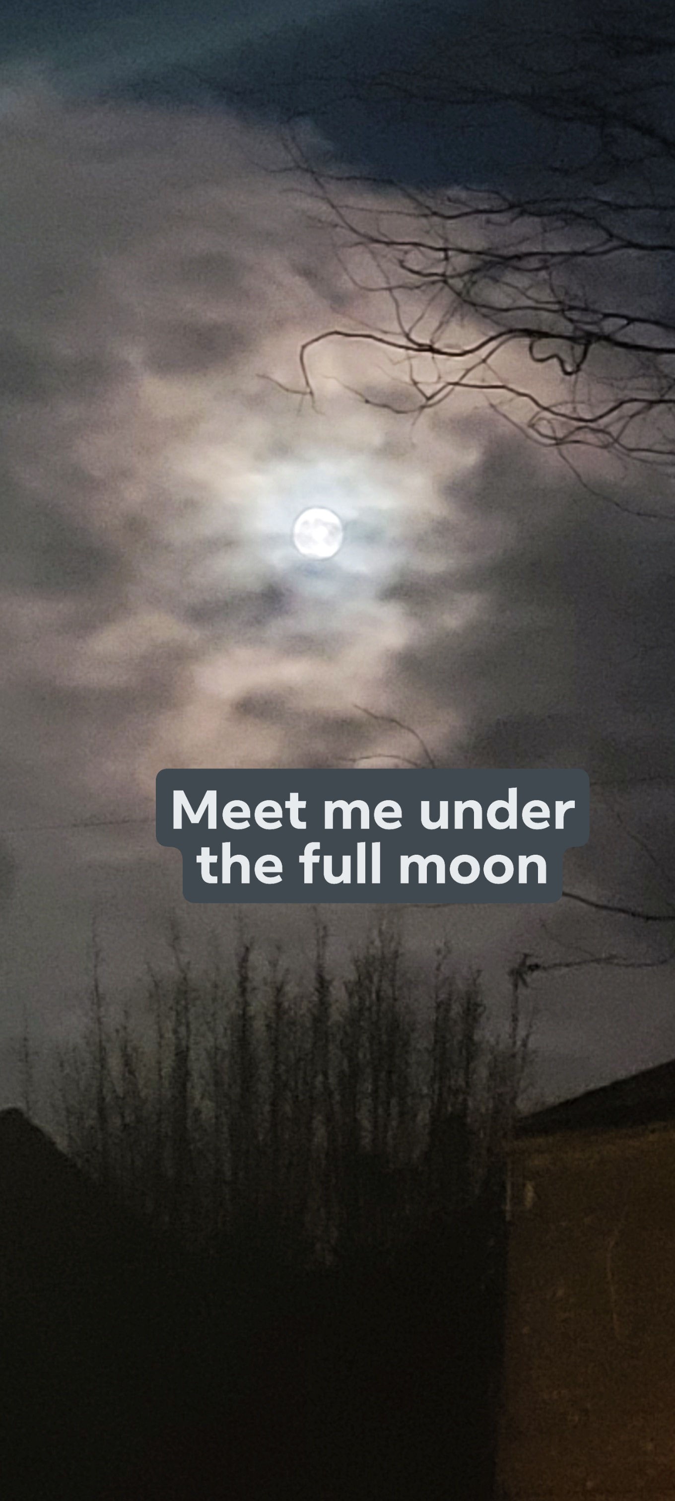 Everyone is a moon, and has a dark side which he never shows to