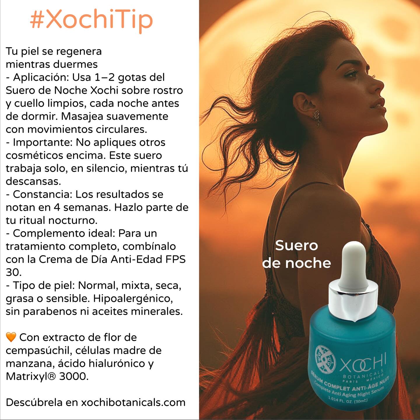 XOCHI BOTANICALS