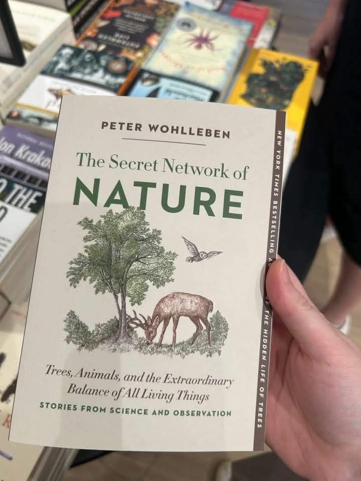 Books by Peter Wohlleben for nature enthusiasts