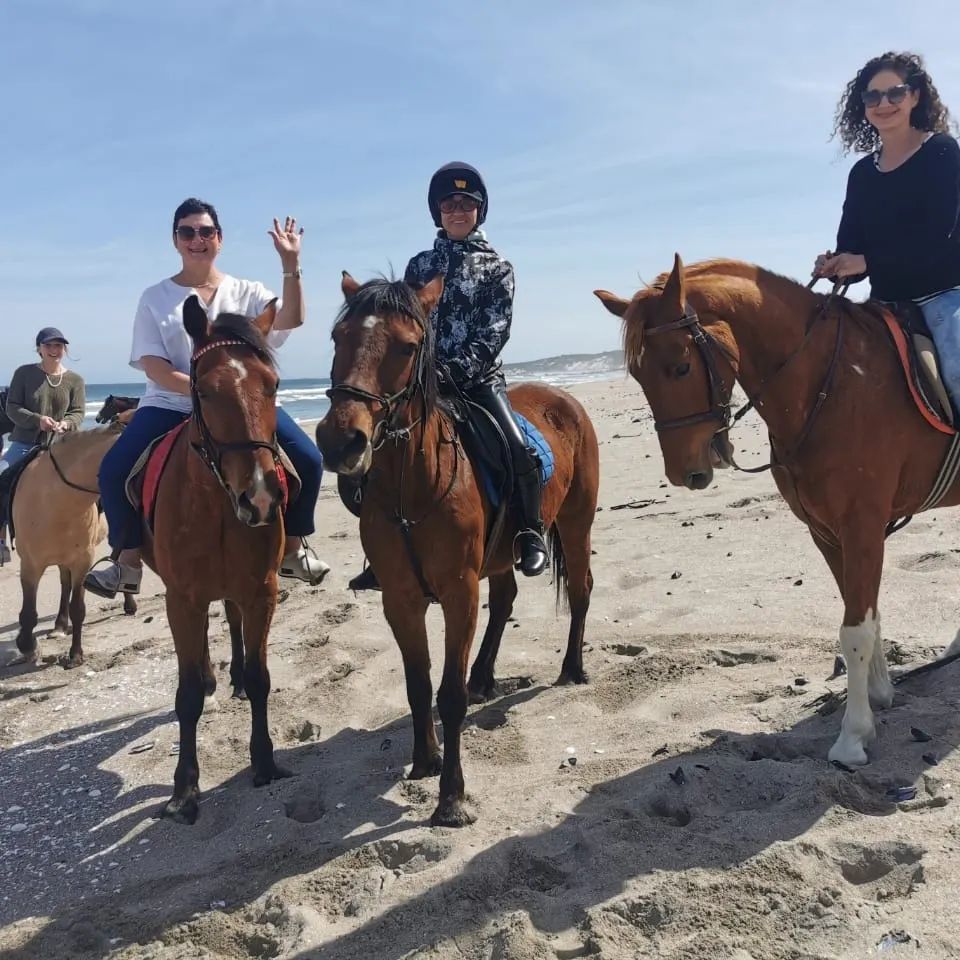 It's a beautiful day!!!... - Drikus Horse Trails | Facebook