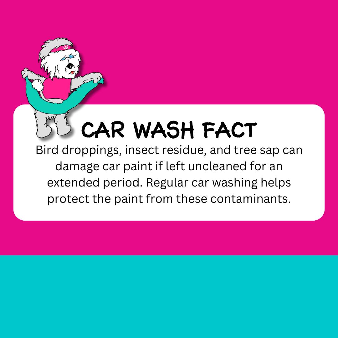 Ric - Did you know? Bird droppings, insect residue, and tree sap are ...