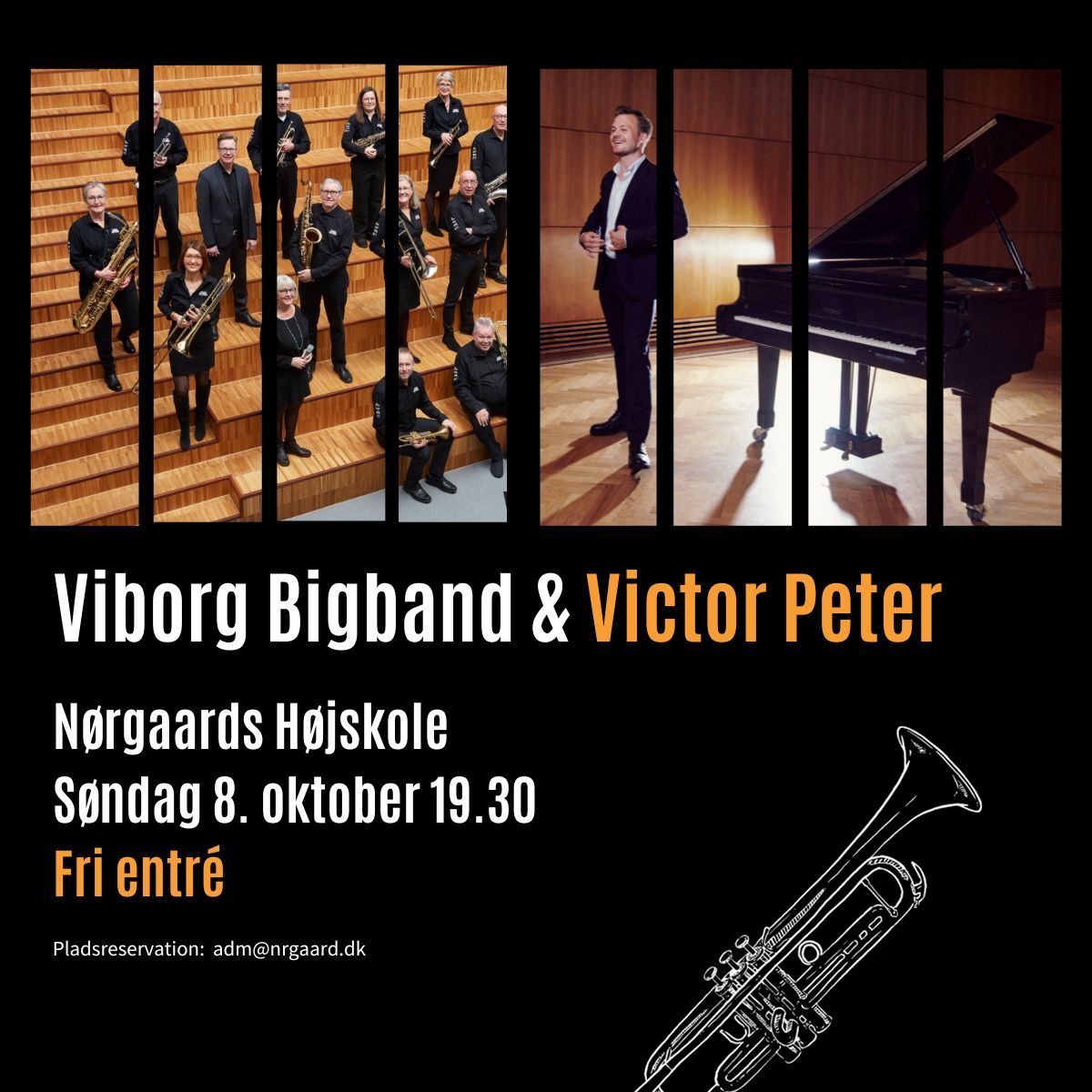 viborg-big-band