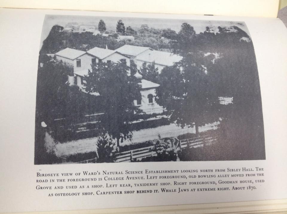 Ward's Science - Throwback Thursday: We found some great...