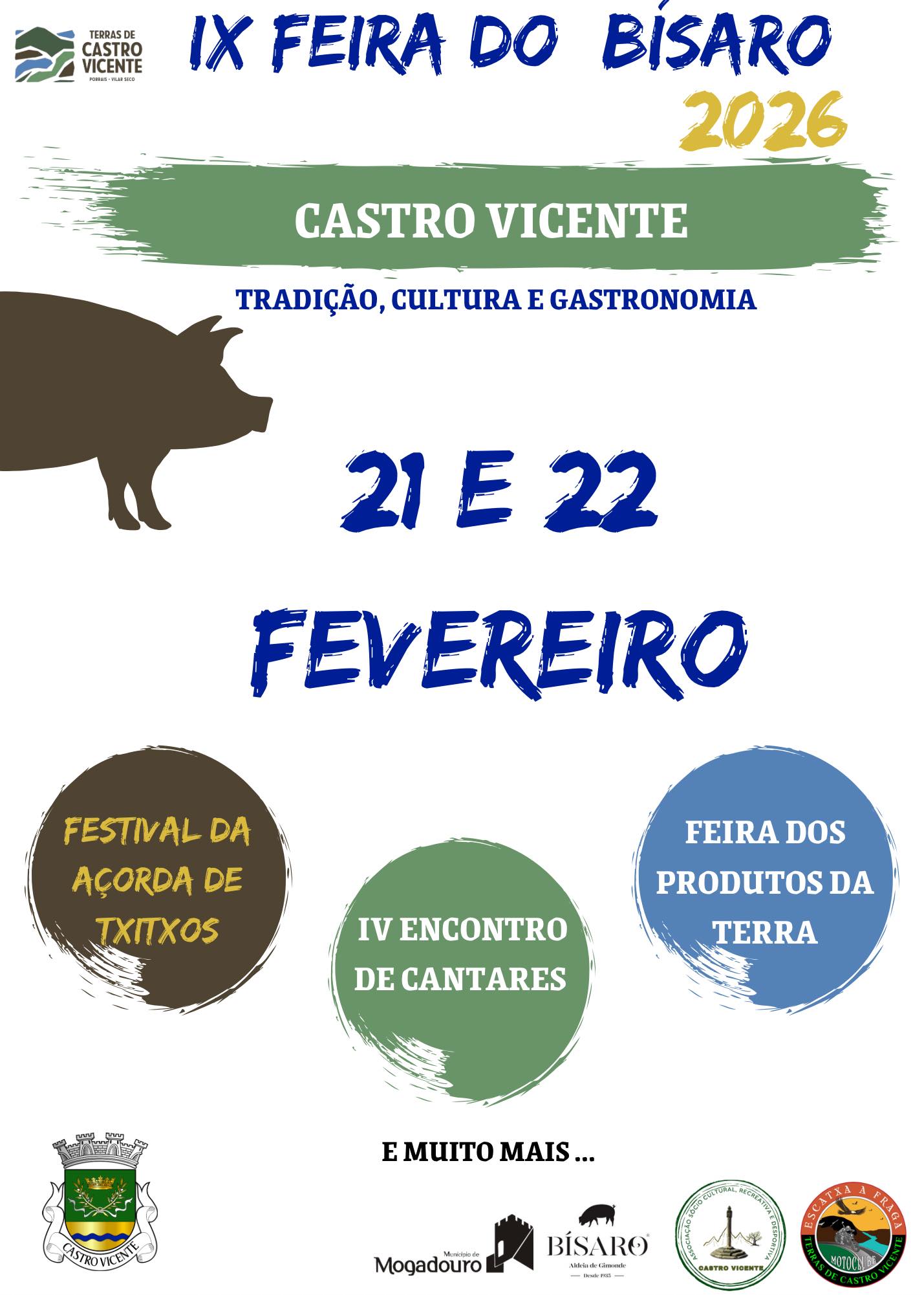 castro-vicente-porrais-e-vilar-seco