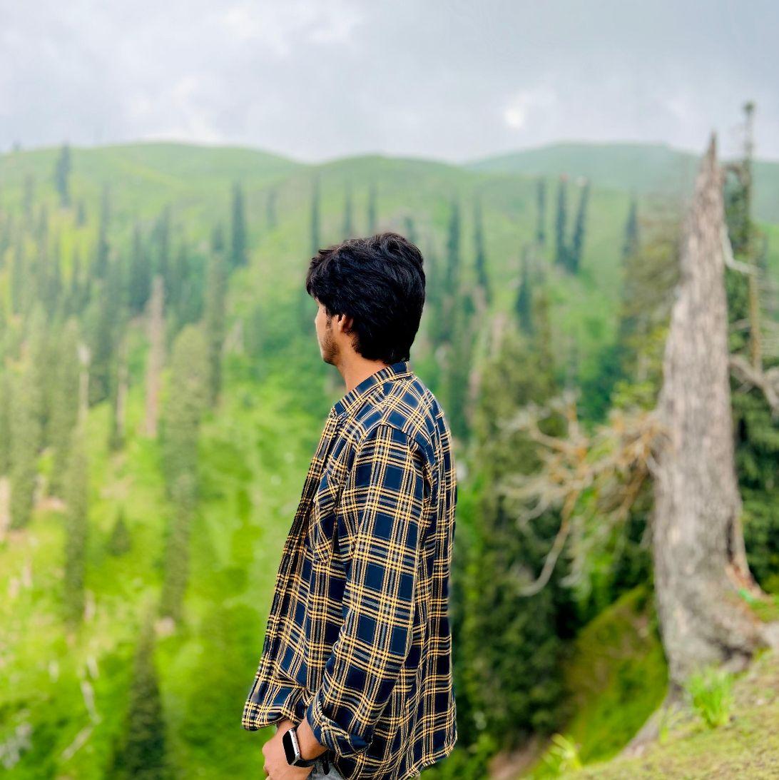 Hasnain Saif