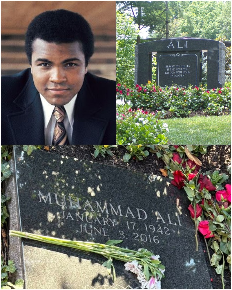 Best - Today we honor Muhammad Ali (1942–2016), born Cassius Marcellus ...