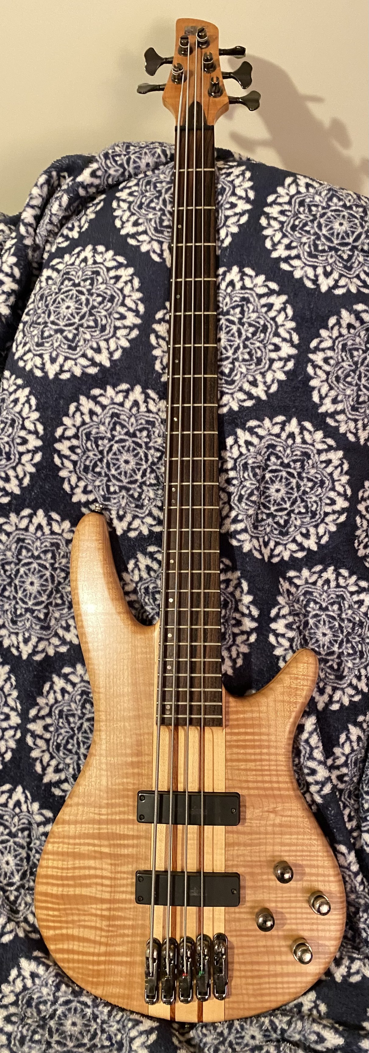 What are the experiences of owners with the Ibanez SR1005EF bass
