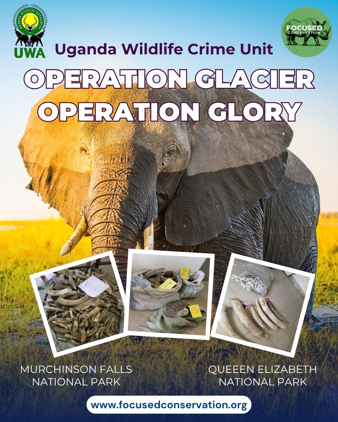 Focused Conservation
