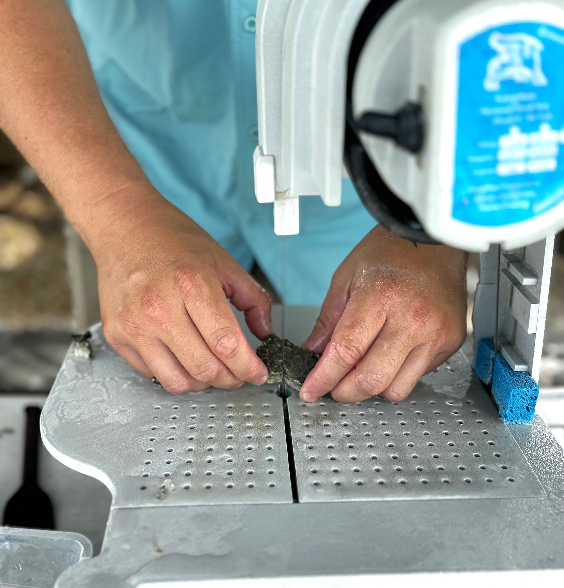 Keys Marine Laboratory added a... - Keys Marine Laboratory