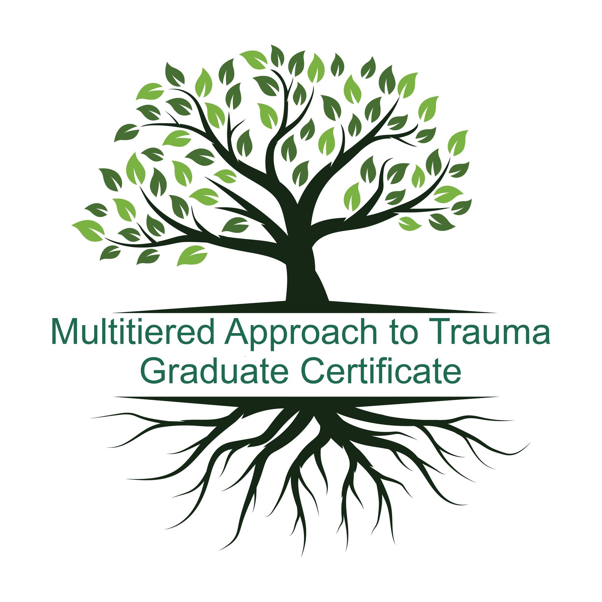 🌟 Introducing Our... - UAB Department of Occupational Therapy | Facebook