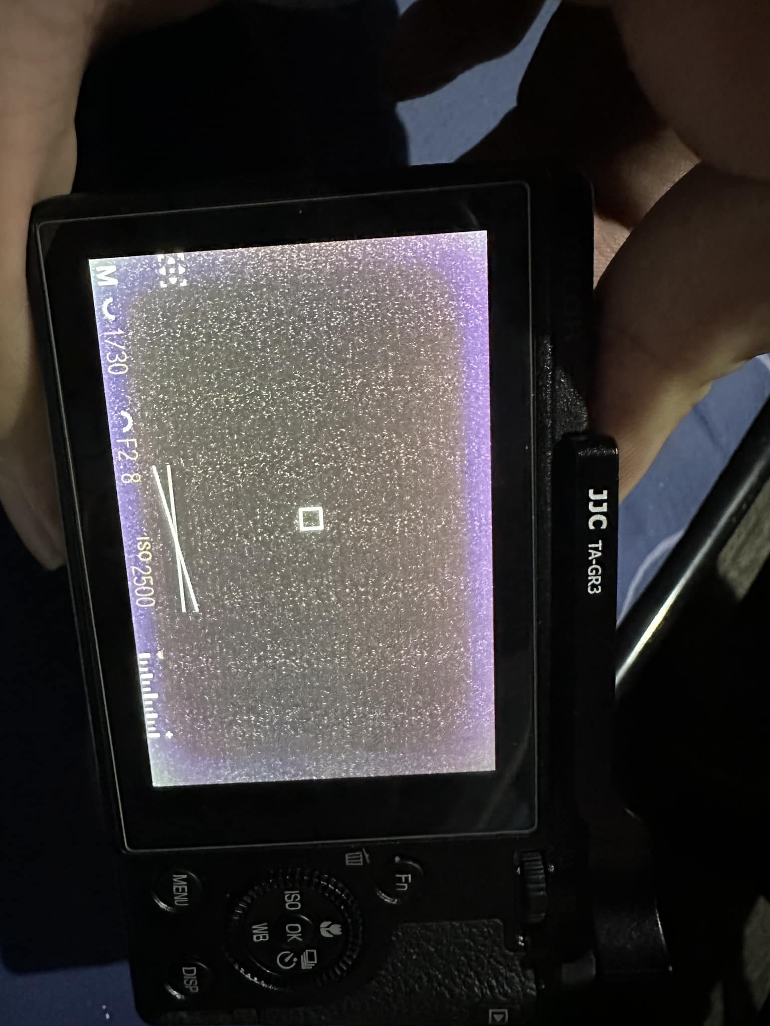 Why does Ricoh GRiiix LCD screen go crazy with overexposed shots?