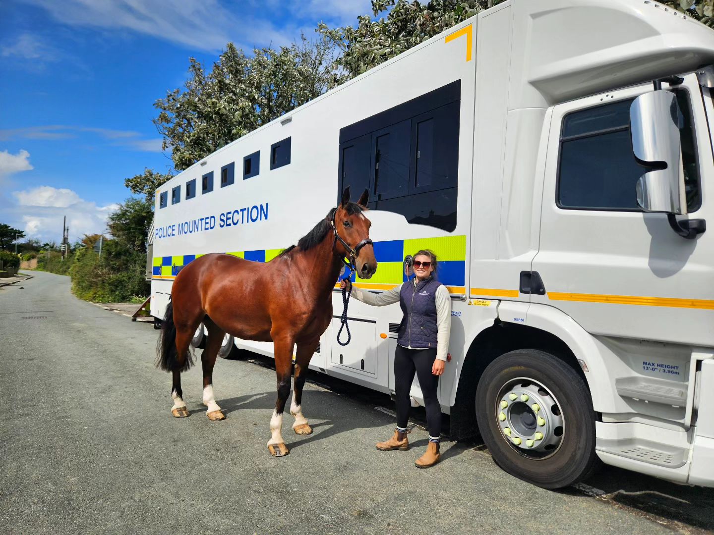 Barnwell - Said goodbye to Pronto/Without Delay today as he starts his ...