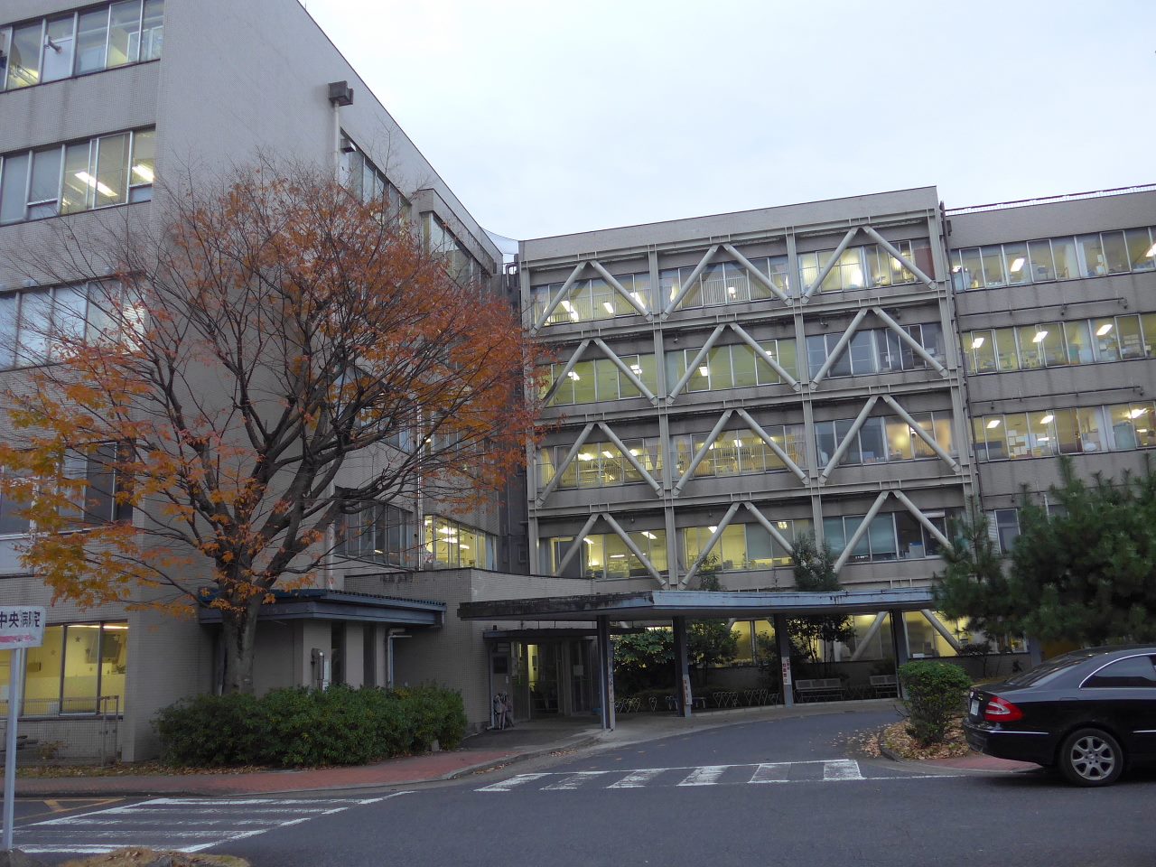 公の場での発言・インタビュー報道記録
