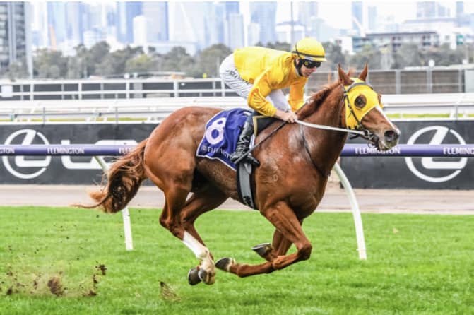 Sensational win for Robrick today. Hopefully many more to come