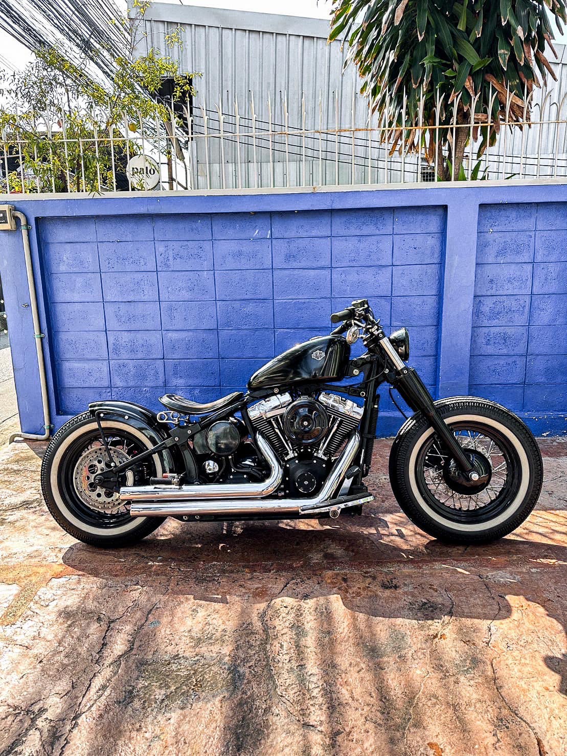 Max-Rider Shop - 🏁🏁🏁🏁🏁🏁🏁🏁🏁🏁🏁 Harley Davidson Softail... | Facebook