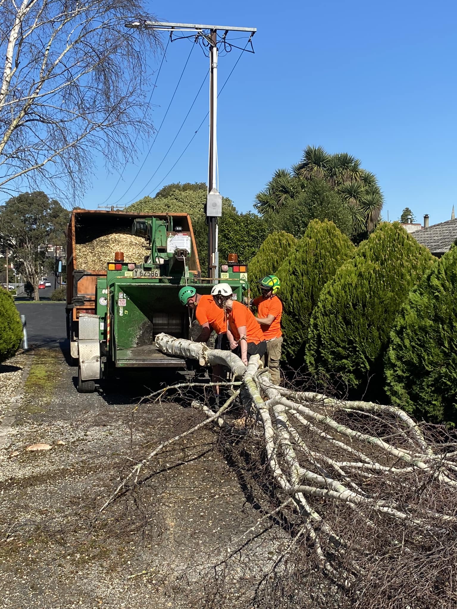 🎥 Here’s a cracking image of our team... - EDI Tree Services | Facebook