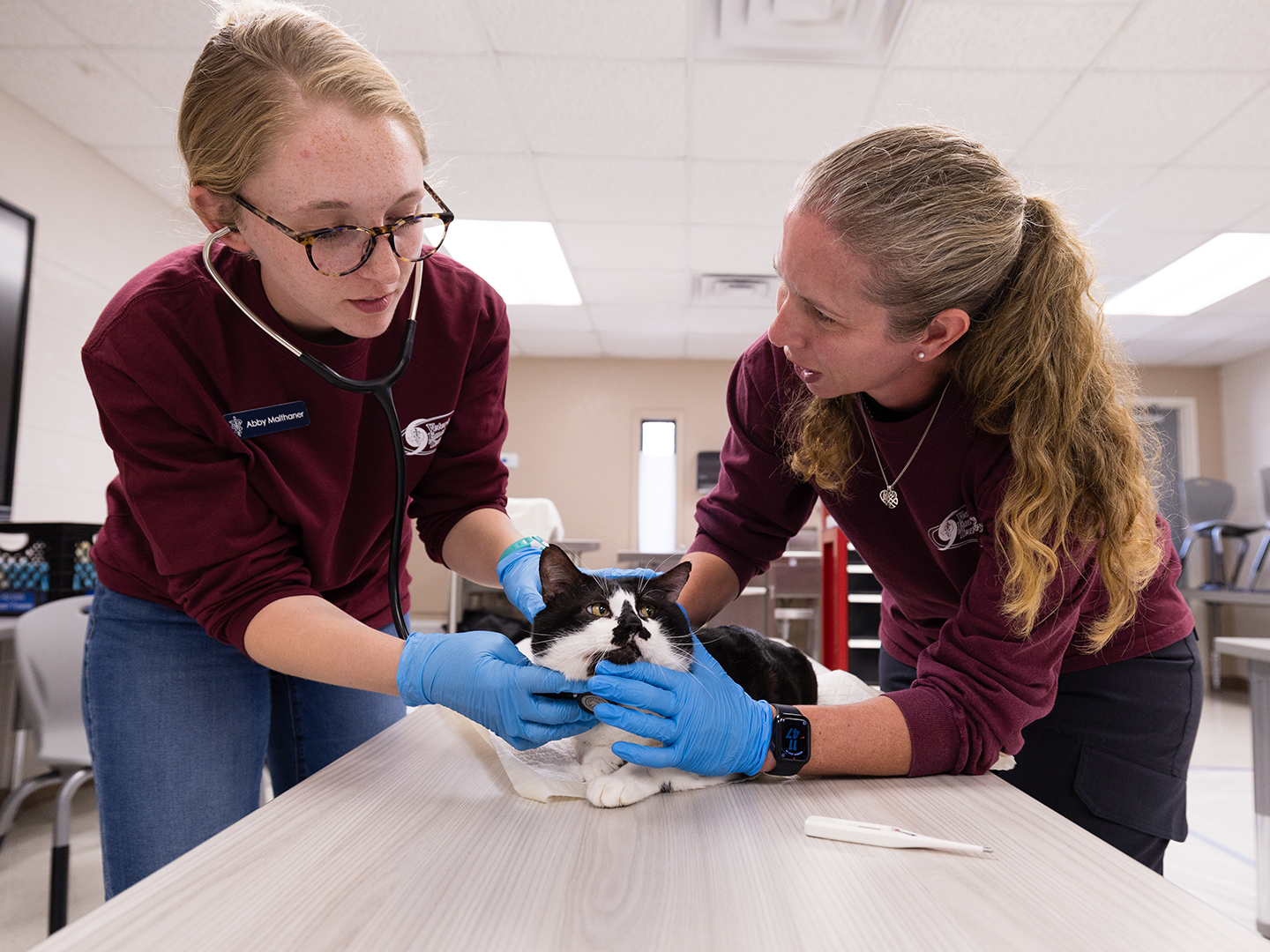 The Texas A&M Veterinary Emergency Team recently returned from ...